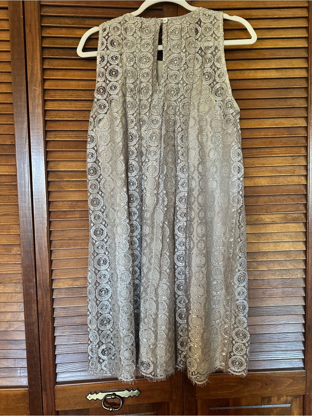 Sachin + Babi for Anthropologie Joyeux champagne silver metallic swing dress - Picture 7 of 11